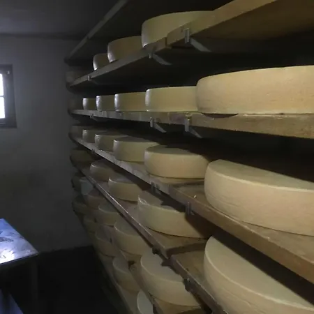 Sport- Und Seminarhaus Walsertal Holiday home Thuringerberg